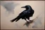 Placeholder: crow .19th painting