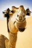 Placeholder: camel with human face