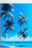 Placeholder: A coconut trees in Indonesia with clear blue skyand sea Impresionisme abstract art