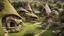 Placeholder: architecture village hobbit vernaculaire