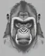 Placeholder: symmetry, one gorilla head and only facing front, glare, black and white, white background, no background, ink fine line art stylized, vector, design for tattoo, African pattern mane