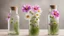 Placeholder: Spring cosmos flower in Glass Bottles