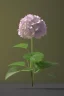 Placeholder: an isolated translucent hydrangea plant, 3d render, art nouveau style, ultra realistic, masked transparent flat background, backlight, popular on sketchfab, pixelsquid, 8k, volumetric lighting, super focused, no blur, trending on artstation, octane render, ultra detailed, hyperrealistic, by artgerm and alphonse mucha