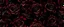 Placeholder: pattern blood, dark, powerfull, modern rose