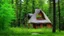 Placeholder: cottage in the middle of the forest