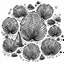 Placeholder: Vector seamless sea shell pattern illustration. Pearl scallop, oceanic or marine mollusk cockleshell fabric design. Holiday symbols repeating background, seashell textile. Bivalve conch, shellfish.
