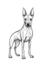 Placeholder: dibujo de un ANIMAL xoloscuintle FULL BODY amigable para coloring book for kids tipo comic con ojos grandes, solo trazo, no grayscale