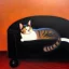 Placeholder: oil portrait of a Cat sleeping in a Black sofa by Monet 8k