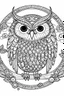 Placeholder: coloring page for kids, Mystical owl in a starlit night sky, cartoon style, thick outline, low details, no shading, no color