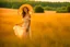 Placeholder: A young woman, elegantly adorned in a big summer hat and a flowing dress that matches the vibrant hues of the surrounding meadow, stands confidently in the center of a vast field. Her eyes are closed, a gentle smile playing on her lips as she feels the warm embrace of the sunshine and the tender kiss of a soft summer breeze. The meadow is a canvas of harmony, painted with a dazzling array of wildflowers that dance and sway in the little wind. The blue sky