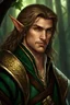Placeholder: Half elf, male, sorcerer, 30 years old, face with dragonscale, dark blonde hair