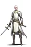 Placeholder: full length, tall 22-year old, shaved head, grey-eyed female cleric with a wearing scale mail