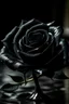 Placeholder: Czarna róża ze szkła