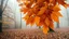 Placeholder: Theme Autumn. Triple exposure. Bottom layer is a misty view of an autumnal forest, leaves changing colour, fallen leaves on the ground. Second layer shows chestnuts, acorns, berries from a closer viewpoint. Top layer is semi-transparent and shows large perfect autumnal maple leaves. The whole image melds together into a commentary on the autumn season in nature.