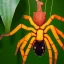 Placeholder: Mango spider elephant house