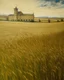 Placeholder: A beige wheat field near a prison painted by Vincent van Gogh