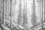 Placeholder: Norwegian forest, woodland- Pencil drawing, illustrative, graphite, crosshatching, blending