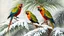 Placeholder: Realistic oil painting of colorful parrots perched on snow-covered palm trees, by John James Audubon, vibrant colors, intricate details of feathers and leaves, snowy background with soft lighting.