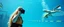 Placeholder: Saruman from LOTR as female bay watch traffic cop, diving in the olympics