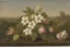 Placeholder: **Martin Johnson Heade vignette --v5.1 seed 1904935561