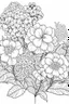 Placeholder: Outline art for coloring page, FULL PAGE OF A GARDEN OF HYDRANGEA FLOWERS, coloring page, white background, Sketch style, only use outline, clean line art, white background, no shadows, no shading, no color, clear