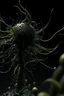 Placeholder: nervous ganglion made of dark plant matter