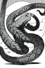 Placeholder: lots of snakes, greyscale