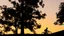 Placeholder: Silhouette of a lone rider on the green hill at sunrise