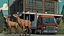 Placeholder: the deceased fawn's mobster styled deer family take charge at the moving truck company corporate complex using Human like Mafia tactics brute force