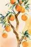 Placeholder: Watercolor orange frut trees, perfect