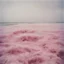 Placeholder: Pink sea in the 1970s, analog photography with white, damaged