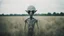 Placeholder: Very creepy grey alien floating above the ground in a field, large head, tiny eyes, portra 400