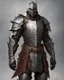 Placeholder: An armor made of a mixture of steel and leather, worn by a strong commander with magical power An armor made of a mixture of steel and leather, worn by a strong commander with magical power An armor made of a mixture of steel and leather, worn by a strong commander with magical powerride dragon