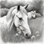 Placeholder: Graphite Pencil drawing, a horse laying down and relaxing in the meadow, sketch drawing, hash drawing, sketch style, drawing, perfect eyes, monochromatic, white background