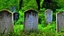 Placeholder: old graveyard overgrown headstones