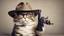 Placeholder: very clever cat with glasses and panama hat and gun