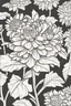 Placeholder: flowers coloring page for kids, ASTER, cartoon style, thick outline, low details, no shading, no color