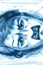 Placeholder: an old poster with "BIG BROTHER"(across top) "IS WATCHING"(across bottom) and a scowling of a dictator in the middle. black and white printed poster on old paper