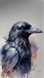Placeholder: watercolor painting of crow , pen line sketch and watercolor painting ,Inspired by the works of Daniel F. Gerhartz, with a fine art aesthetic and a highly detailed, realistic style