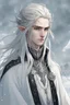 Placeholder: a young high elf frost Wizard with long wiry hair, wearing a black trimmed white nobleman's robe and frost ornaments on clothes