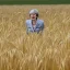 Placeholder: theresa may as a robot, running through fields of wheat, sunshine, daytime