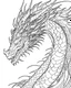 Placeholder: I need a dragon outline ,no shadow only clear outline and backgroun