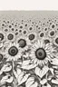 Placeholder: outline aSunflower field: A large field of sunflowers that radiate the warmth of summer.no people, White background. sketch style, clean line art, white background, no shadow and clear no people