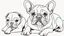 Placeholder: French bulldog face drawed one line