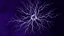 Placeholder: A minimalist, professional digital art graphic and ink montage, background . Deep dark purple background with big wide neural network, nervous system, white-dark blue-magenta-pale gray and black colors, Clean composition with strangge vibe, modern digital art style with surreal vibe, Photorealistic with emotional with abstraction , neurodivergens mood