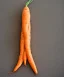 Placeholder: space rocket made from carrot