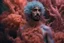 Placeholder: Hiper-realistic religious holy full body meditation photo, young blonde beard Dev Patel dressed as a 3D-printed parametric Iris Van Harpen biofluorescent peachy Jelly tight-fitting body-paint costume, translucent silk glitter stole, opalescent, in the stunning Misty Rocky Sponge Anemones Coral Forest, professional National Geographic photography