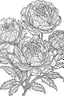 Placeholder: Outline art for coloring page, PEONY FLOWERS WITH STEMS, coloring page, white background, Sketch style, only use outline, clean line art, white background, no shadows, no shading, no color, clear