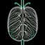 Placeholder: Lungs, Logo, 4k, high resolution