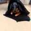 Placeholder: Make a disney style picture for my puppy with a blanket on her head. realistic disney setting, black and tan dachshund